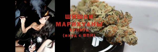 ешки Арсеньев