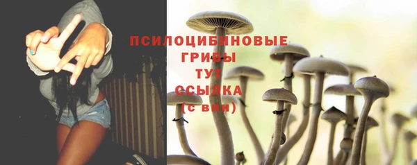 ешки Арсеньев