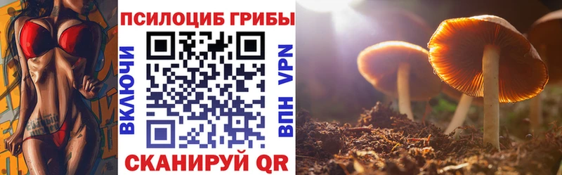 Галлюциногенные грибы Magic Shrooms  Пущино 